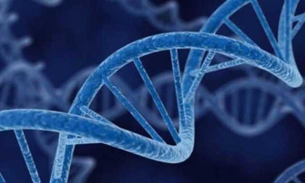 Dna